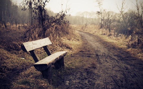 lonely_bench_w1